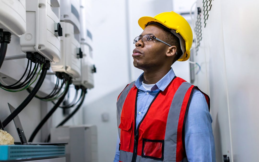 Data Services: Insulator Count and Features