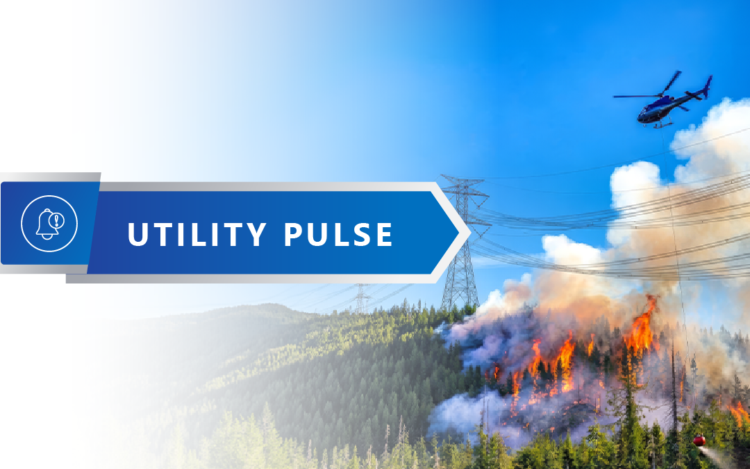 Remote Wildfire Response Requires Planning