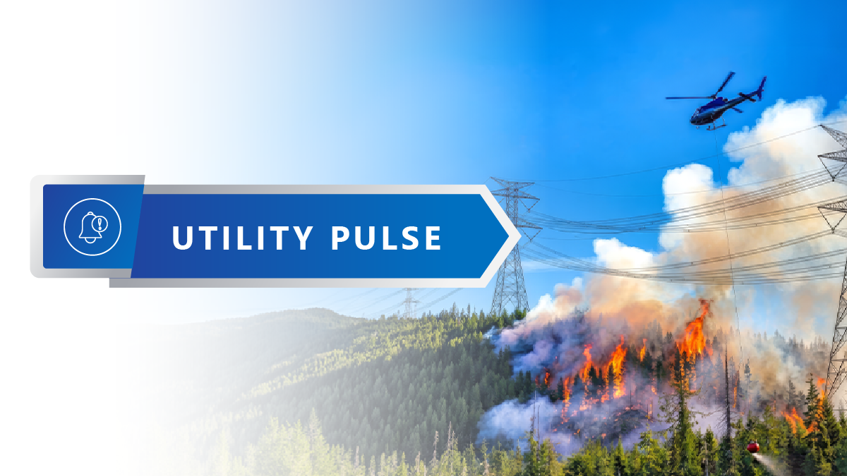 Remote Wildfire Response Requires Planning