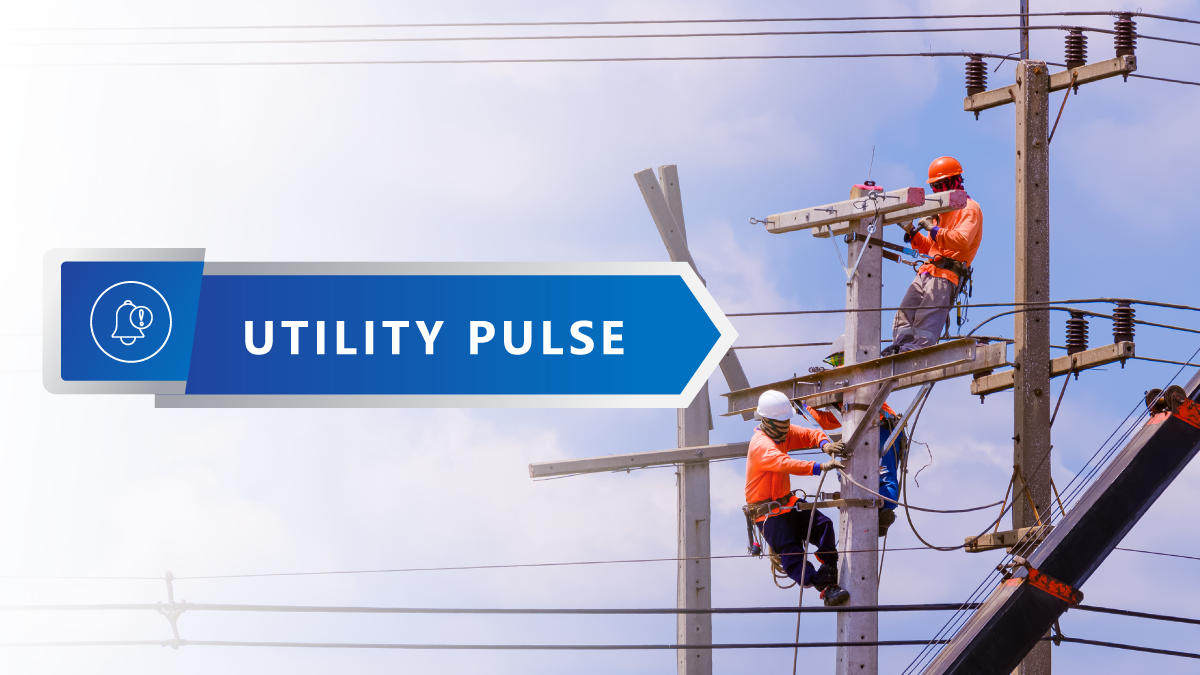 Utility-Pulse-5