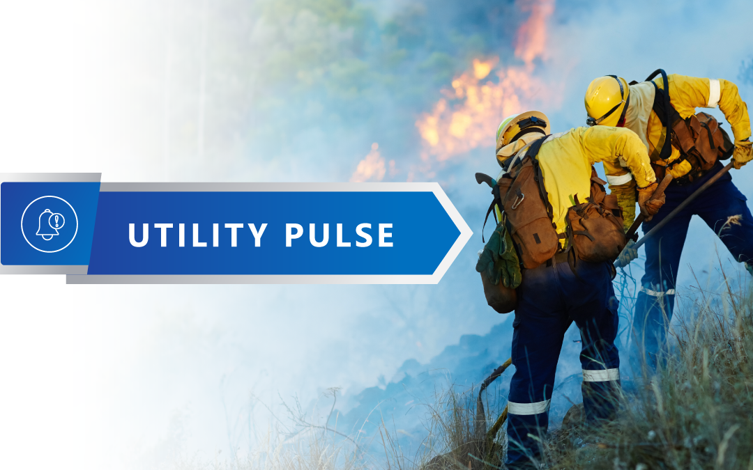 Prescribed Fire Requires Operational Awareness