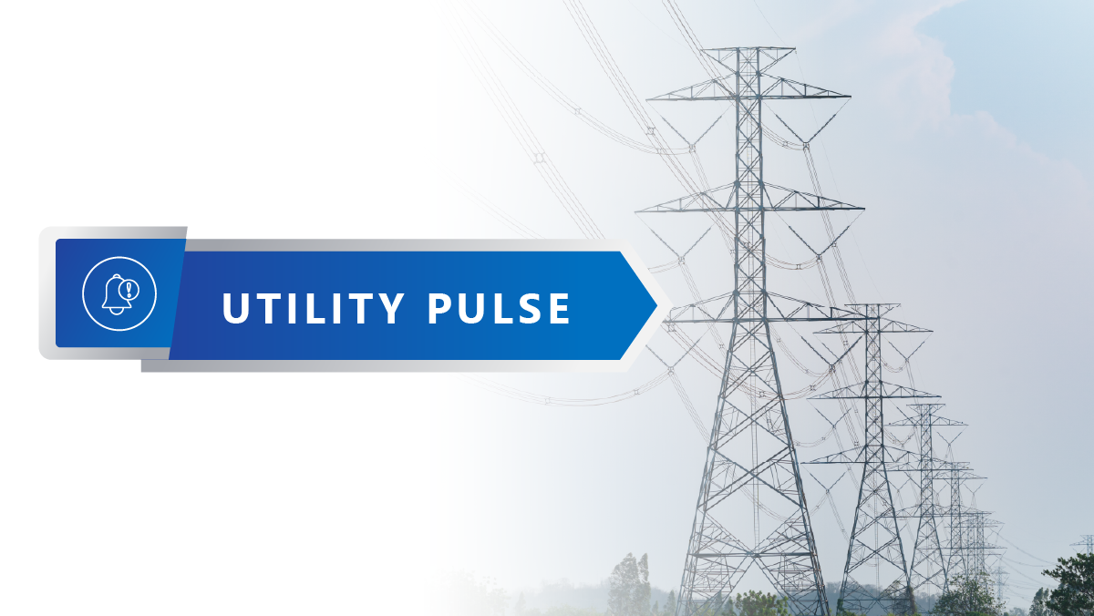 Utility Consolidation Raises Planning Questions