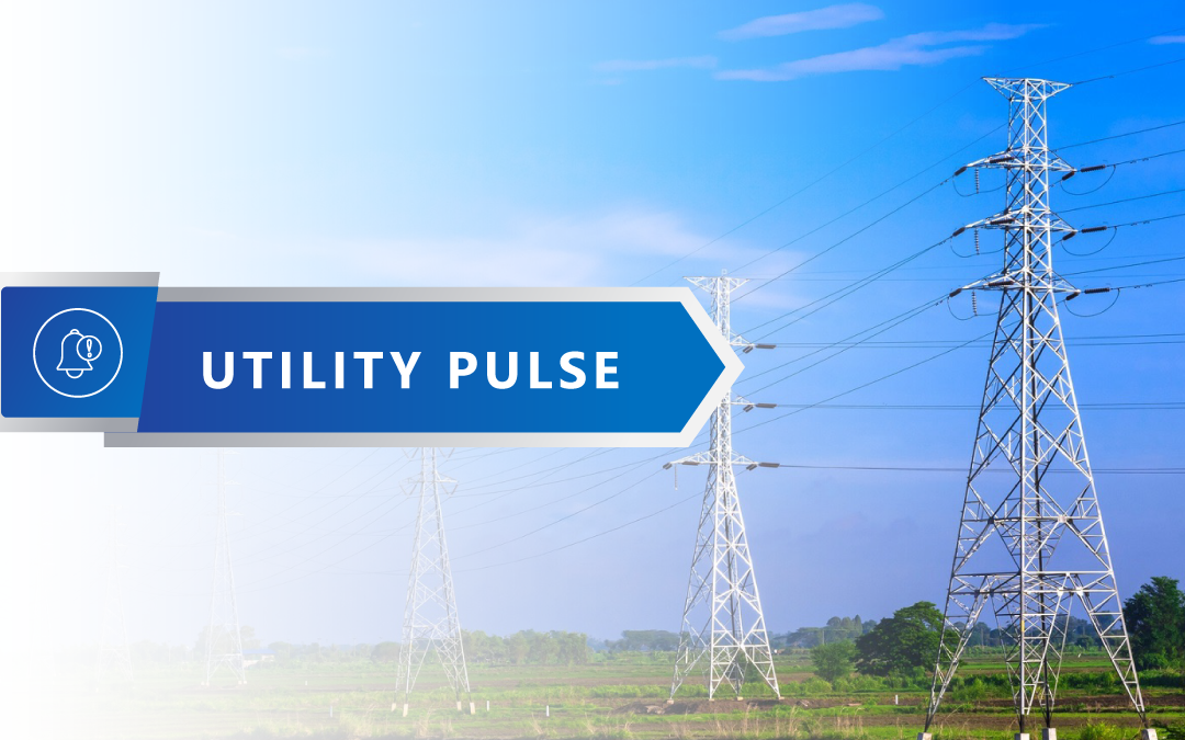 Transmission Delivery Models are Under Review