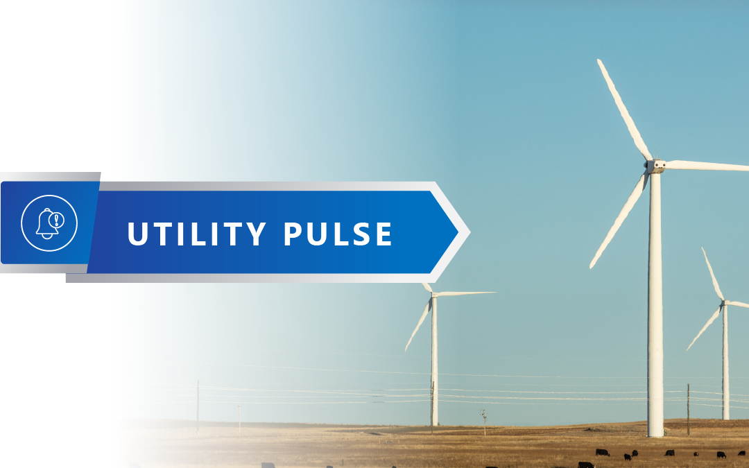 Distributed Energy Resource Growth Needs Operational Visibility