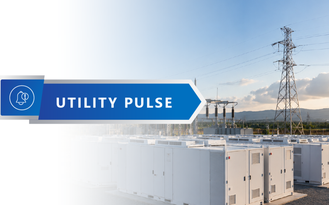 Storage Rules Shape Grid Planning
