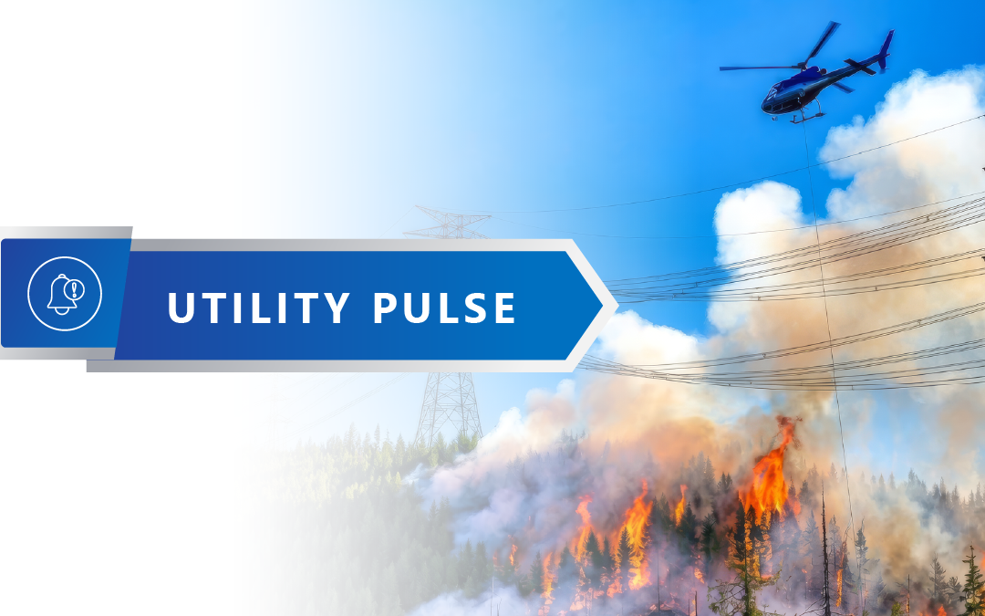 Wildfire Risk Requires Proactive Grid Resilience