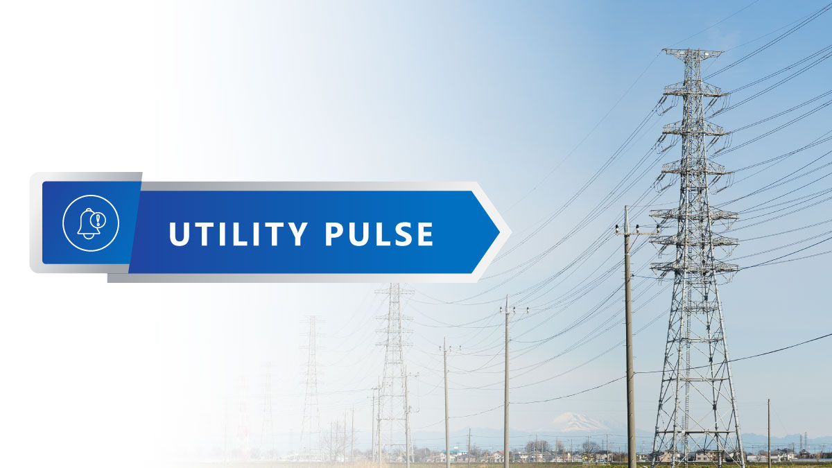 Rural-Grid-Investment-Needs-Clear-Priorities